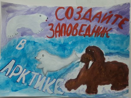Арктика глазами детей рисунки