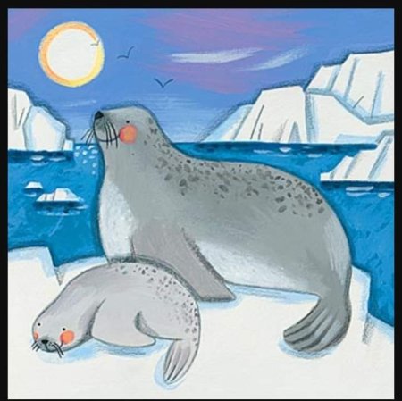 Северный полюс Северное сияние белый медведь