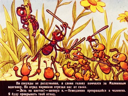 Баранкин будь человеком мирмики
