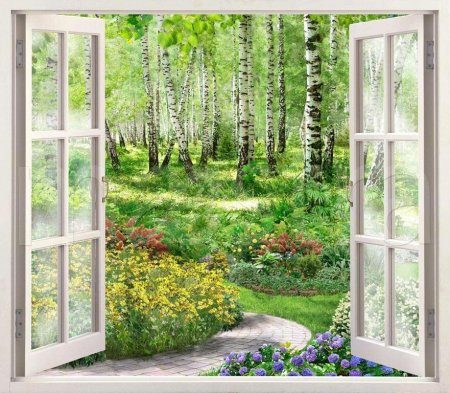 Сад в окне
