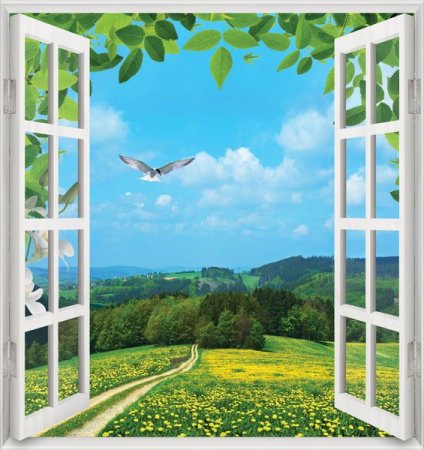 Вид из окна на природу