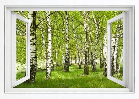 Пейзаж из окна