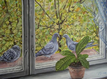 Птицы за окном