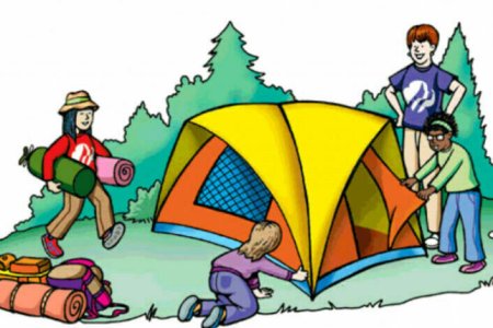 Безопасность в лесу для дошкольников