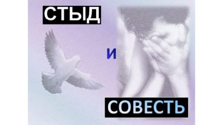 Стыд и совесть различия и сходства