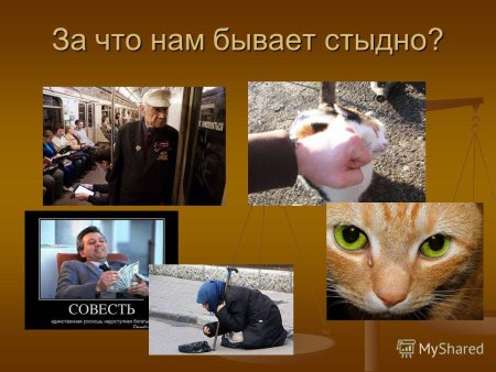 За что бывает стыдно