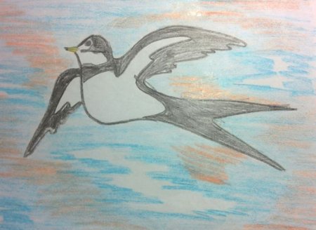 Рисование с детьми перелетные птицы