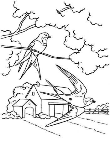 Ласточка раскраска