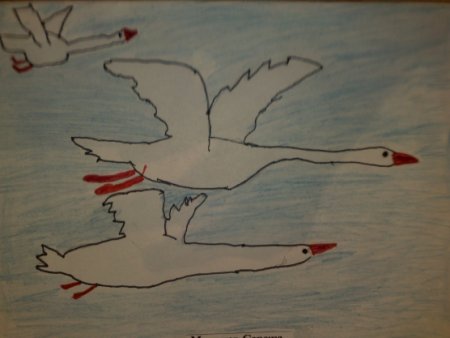 Рисование перелетные птицы старшая группа