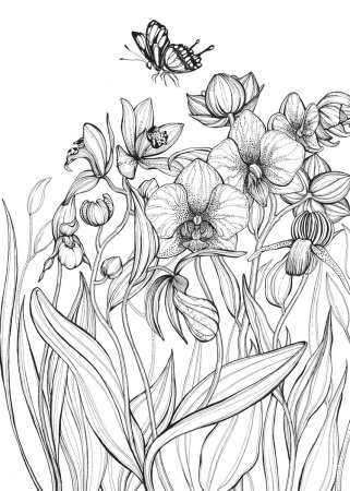 Цветы зарисовки