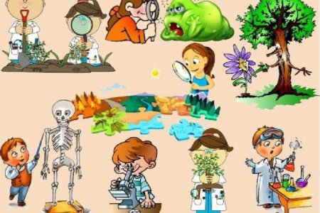 Сажает дерево мультяшная