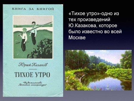 Тихое утро книга