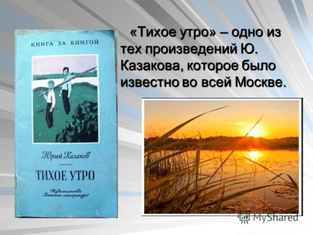 Тихое утро книга
