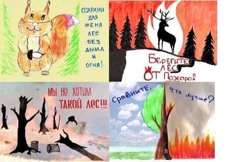 Плакат защита леса