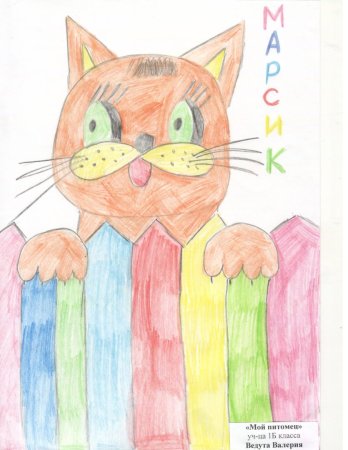 Рисование мой питомец