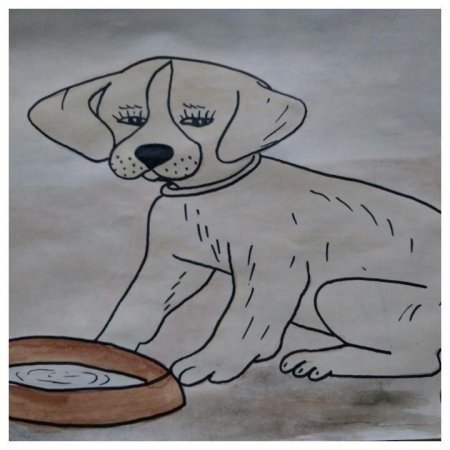 Рисунки котов