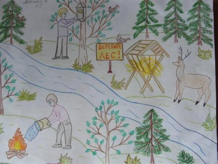 Рисунок на тему лес и человек