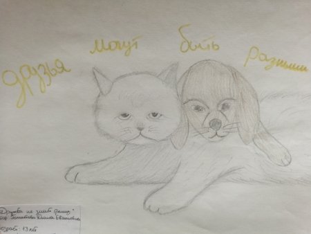 Картинки о дружбе и толерантности