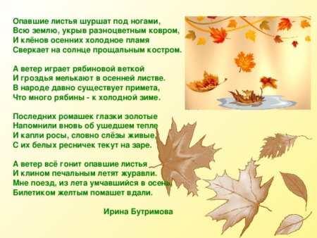 Опавшие листья шуршат под ногами