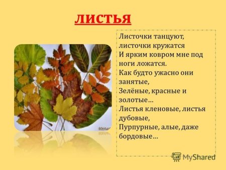 Рассказ об осенних листьях