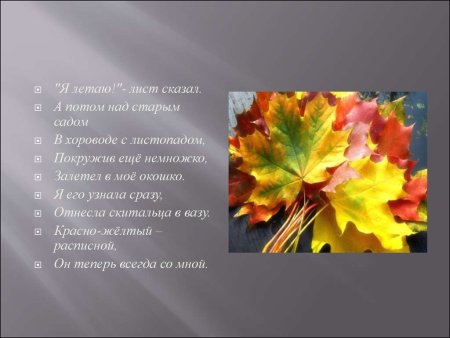 Клен презентация