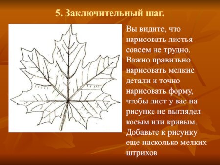 Какая форма листа у клена