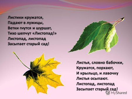 Стихи про осенние листочки