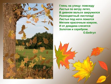 Стихи про осенние листья