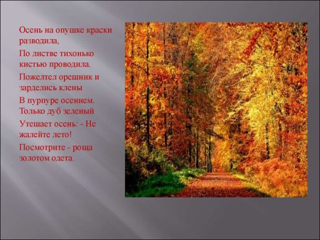 Описание осени