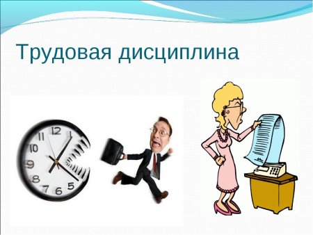 Трудовая дисциплина