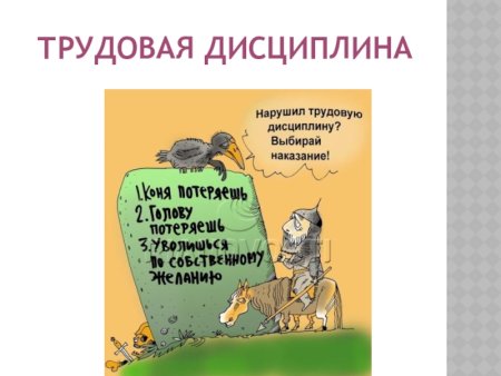 Трудовая дисциплина