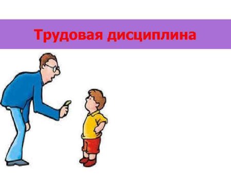 Трудовая дисциплина картинки