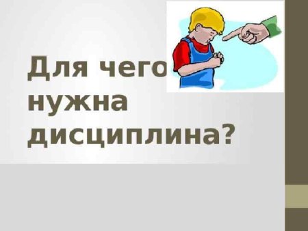 Для чего нужна дисциплина
