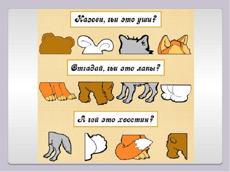 Задание Дикие животные части тела