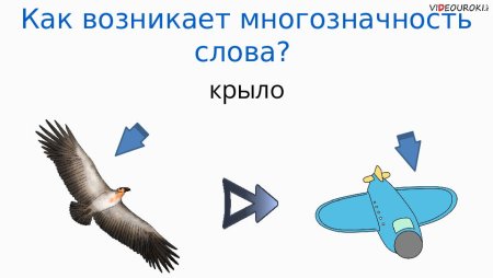 Однозначные слова и многозначные слова