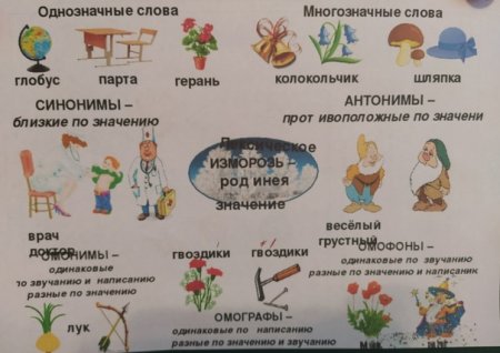 Многозначные слова 1 класс