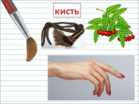 Ножка многозначное слово