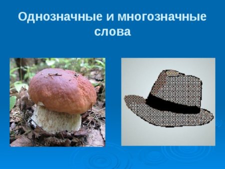 Ножка многозначное слово