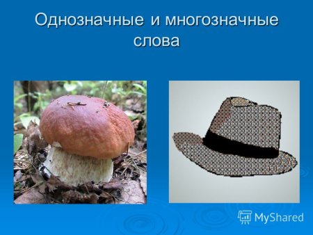 Однозначные и многозначные слова прямое и переносное значение слова