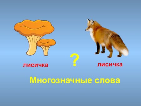 Многозначные слова примеры