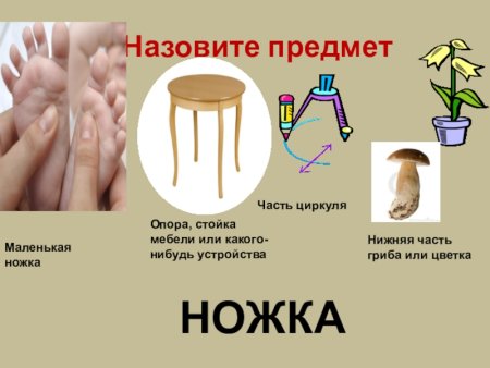 Многозначные слова примеры