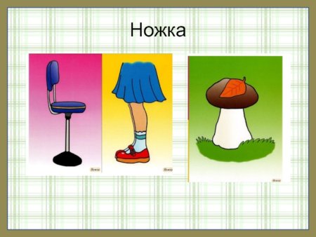 Раковина многозначное слово