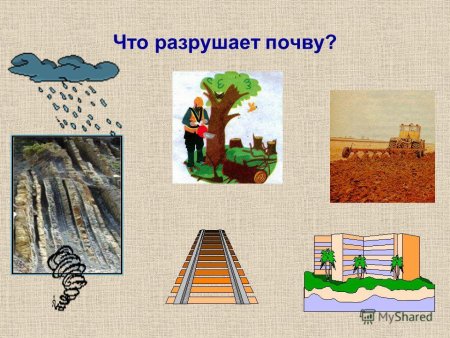 Почва для дошкольников