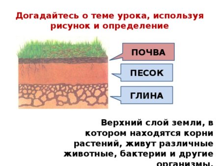 Строение почвы 3 класс