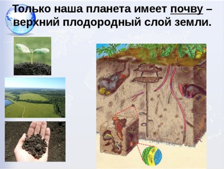 Почва для дошкольников