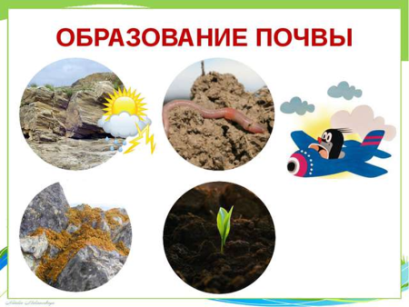 Почва для дошкольников