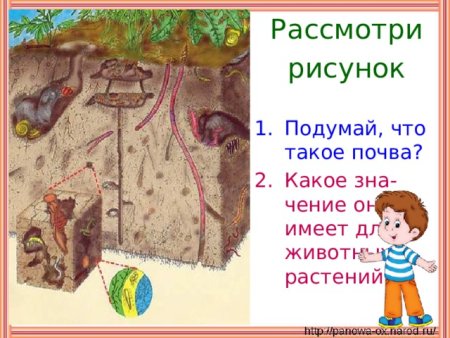 Рисунок почвы 3 класс