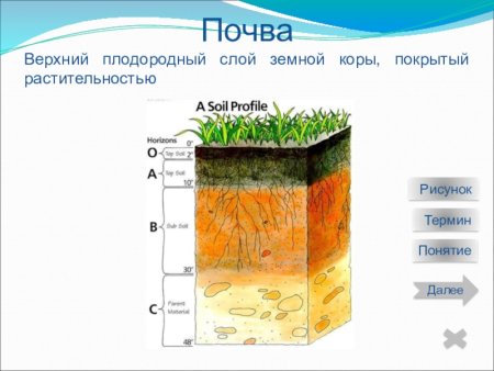 Слои земли по порядку почва
