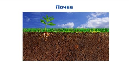 Почва рисунок