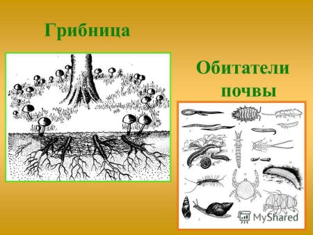 Рисование на тему земля